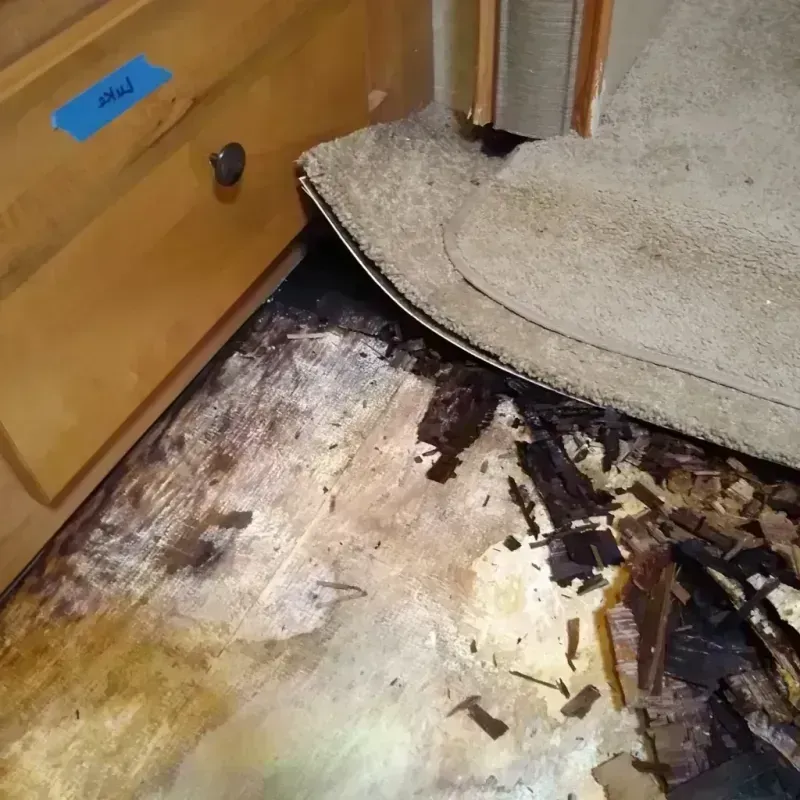 Best Wood Floor Water Damage Service in Calcium, NY